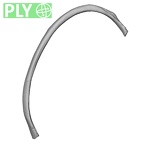 DV13-66 Homo sapiens rib sixth right ply