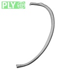 DV13-67 Homo sapiens rib sixth left ply