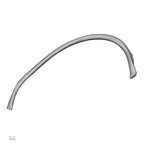 DV13-68 Homo sapiens rib seventh right superior