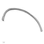 DV13-70 Homo sapiens rib eighth right inferior