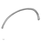 DV13-70 Homo sapiens rib eighth right superior