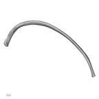 DV13-71 Homo sapiens rib eighth left superior