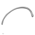 DV13-72 Homo sapiens rib ninth right superior