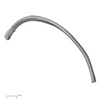 DV13-73 Homo sapiens rib ninth left superior