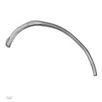 DV13-74 Homo sapiens rib tenth right inferior