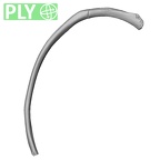 DV13-74 Homo sapiens rib tenth right ply