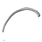 DV13-75 Homo sapiens rib tenth left inferior