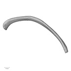 DV13-77 Homo sapiens rib eleventh left superior