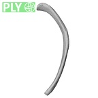 DV13-77 Homo sapiens rib eleventh left ply