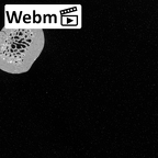 DV13-80 Homo sapiens clavicle right ct stack movie