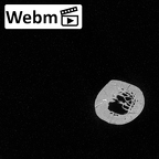 DV13-81 Homo sapiens clavicle left ct stack movie
