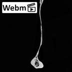 DV13-82 Homo sapiens scapula right ct stack movie