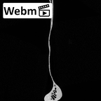 DV13-83 Homo sapiens scapula left ct stack movie