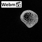 DV14-100 Homo sapiens clavicle right ct stack movie