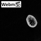 DV14-101 Homo sapiens clavicle left ct stack movie