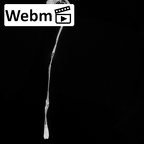 DV14-102 Homo sapiens scapula right ct stack movie