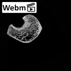 DV14-124 Homo sapiens os coxae right ct stack movie