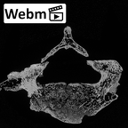 DV14-47 Homo sapiens cervical vertebra seventh ct stack movie