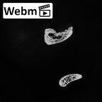 DV14-48 Homo sapiens thoracic vertebra first ct stack movie