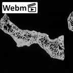 DV14-61 Homo sapiens thoracic vertebra twelfth ct stack movie