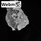 DV14-67 Homo sapiens lumbar vertebra third ct stack movie