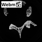 DV14-68 Homo sapiens lumbar vertebra fourth ct stack movie