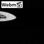 DV14-71 Homo sapiens rib first right ct stack movie