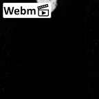 DV14-72 Homo sapiens rib first left ct stack movie