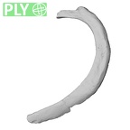 DV14-75 Homo sapiens rib second left ply