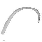 DV14-76 Homo sapiens rib third right superior