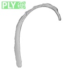 DV14-76 Homo sapiens rib third right ply