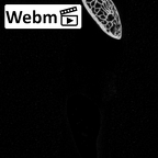 DV14-77 Homo sapiens rib third left ct stack movie
