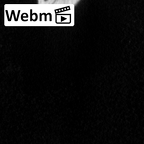 DV14-78 Homo sapiens rib third left ct stack movie