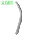 DV14-78 Homo sapiens rib third left ply