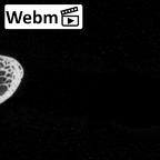 DV14-79 Homo sapiens rib fourth right ct stack movie