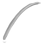 DV14-80 Homo sapiens rib fourth superior