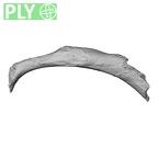 DV14-81 Homo sapiens rib fourth left ply