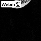 DV14-82 Homo sapiens rib fourth left ct stack movie