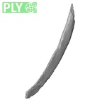 DV14-82 Homo sapiens rib fourth left ply