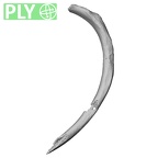 DV14-85 Homo sapiens rib fifth left ply