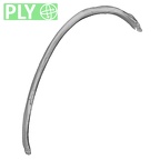 DV14-87 Homo sapiens rib sixth right ply