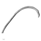 DV14-88 Homo sapiens rib sixth left inferior