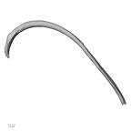 DV14-88 Homo sapiens rib sixth left superior