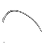 DV14-91 Homo sapiens rib eighth right inferior