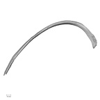 DV14-91 Homo sapiens rib eighth right superior