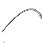 DV14-92 Homo sapiens rib eighth left inferior