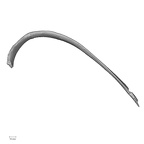 DV14-92 Homo sapiens rib eighth left superior