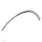 DV14-93 Homo sapiens rib ninth right superior