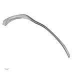 DV14-95 Homo sapiens rib tenth right inferior