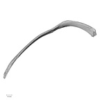 DV14-95 Homo sapiens rib tenth right superior